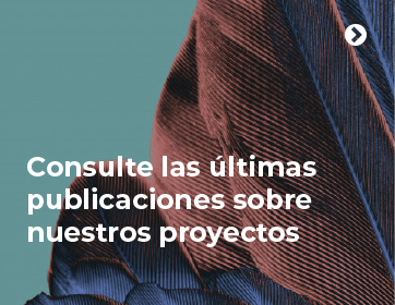 maiz-de-cajete-ac-mexico-10